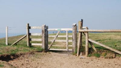 Gate at Pembrokeshire