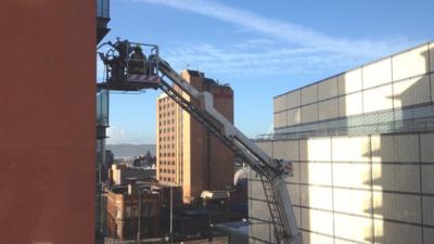 Fire crews rescuing seagull