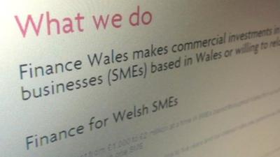 Screen grab of Finance Wales page