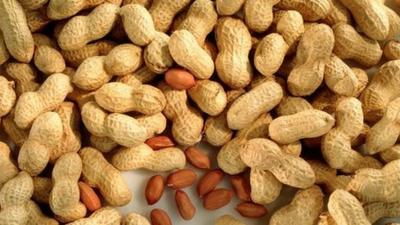 Peanuts