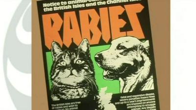 Rabies poster