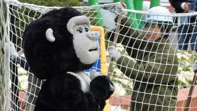 Zoo keeper dressed as a gorilla