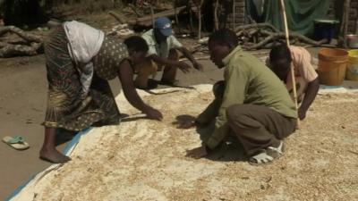 Tanzanians with crops