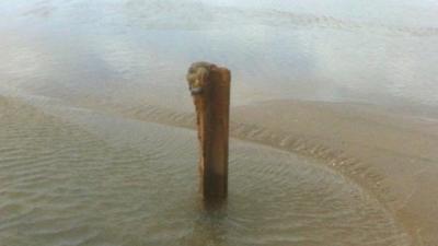 Rusty remains of wartime tank defences