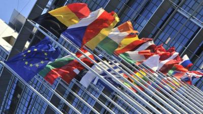 Flags outside European Parliament, Strasbourg - file pic