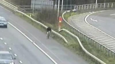 Cyclist on M25