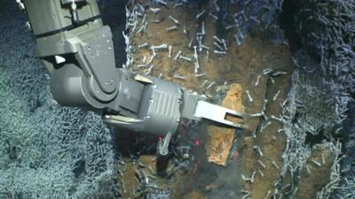 Robot arm breaks rock from sea bed