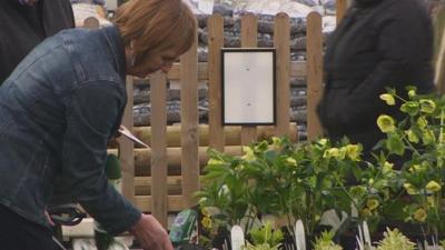 Woman looks at plants at garden centre