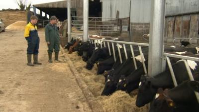 Father and son team Paul and Andrew Gould on their farm in West Stour near Shaftesbury