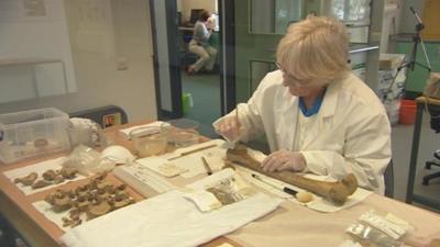 Bones being cleaned for tests to take place