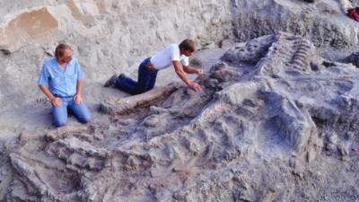 Workers on the original excavation of the Wankel T-Rex in Montana