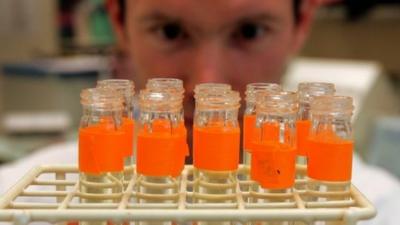 Test tubes in a laboratory