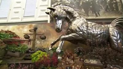 Warhorse at Chelsea Flower Show