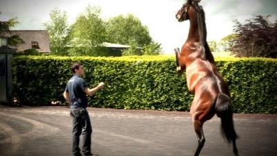 The Derby 2014: Inside the Coolmore stud farm