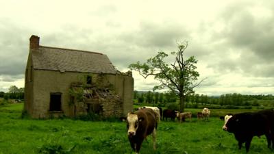 Derelict house on Cleenish Island