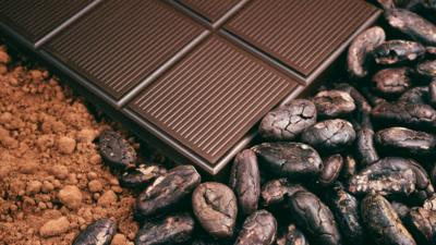 Chocolate, cocoa beans and cocoa powder