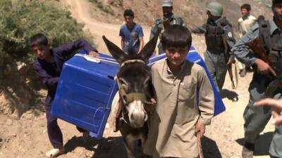 Boy leading donkey carrying ballot boxes