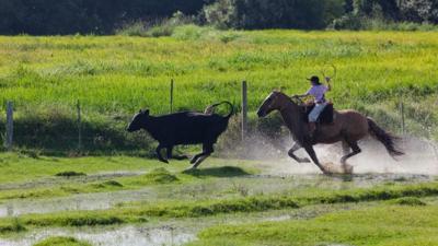 Gaucho in Brazil