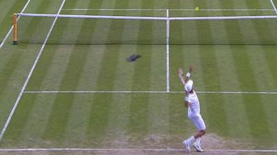 Pigeon interrupts Bautista Agut's serve