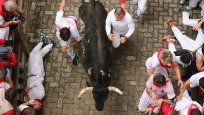 Pamplona bull run