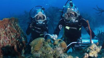 Divers conducting experiments underwater