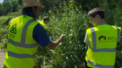 People learning countryside skills