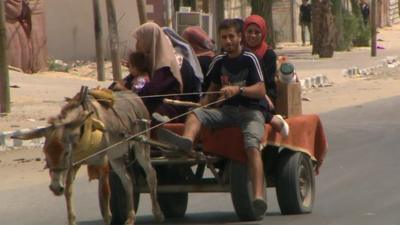 People on a donkey cart