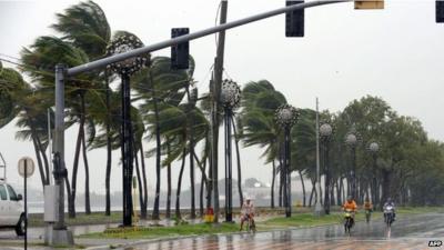 Strong winds blowing trees