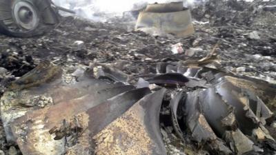 The site of a Malaysia Airlines Boeing 777 plane crash is seen at the settlement of Grabovo in the Donetsk region