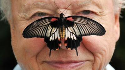 Sir David Attenborough