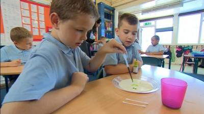 Pupils at Priory Primary School in Dudley