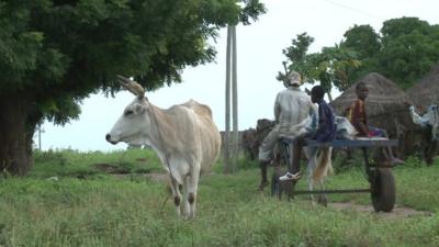 Rural scene with cow and villagers