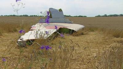 Malaysia Airlines flight MH17 came down in Ukraine