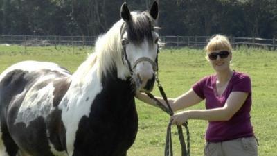 Researcher with one of the horses (c) Jennifer Wathan