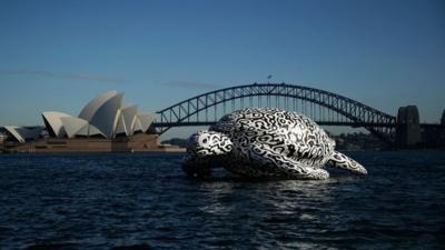 To celebrate the World"s First Undersea Art Exhibition, a 5 metre tall, 15 metre long Sea Turtle cruises past Sydney Harbour