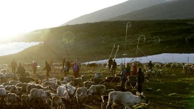 Sami reindeer herders in Sweden