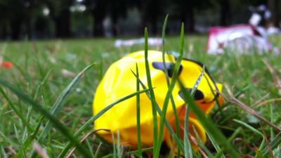 Balloon in a field