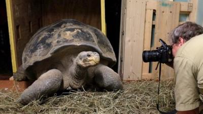 Andy Odum, Toledo Zoo assistant director of animal programs and curator of herpetology, photographs Emerson