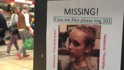 Missing Alice Gross