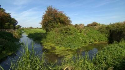 Somerset wildlife reserve