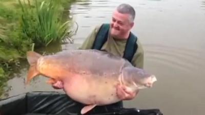 giant carp