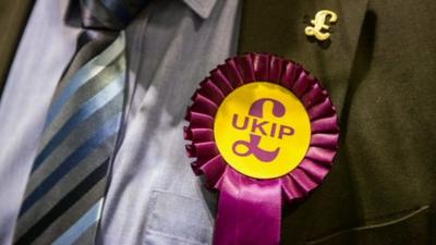 Close up of man's lapel with UKIP rosette and badge in shape of pound sign