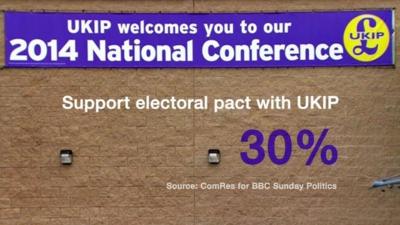 UKIP poll graphic