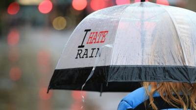 Person holding umbrella in the rain