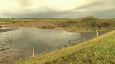 Water collecting at Llanbedr flood defence