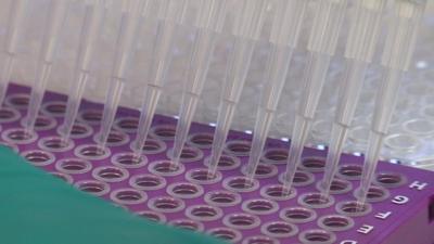 Close up of laboratory pipettes