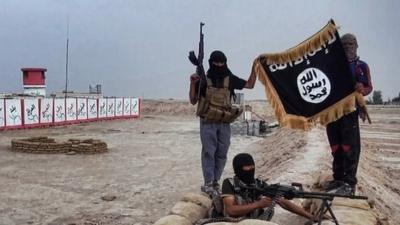 Islamic State has seized large areas of Iraq and Syria in recent months