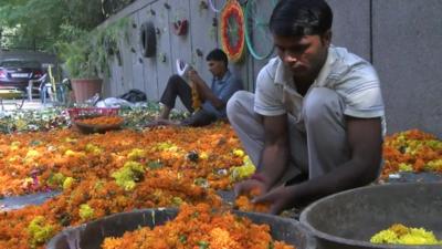 Collecting flowers