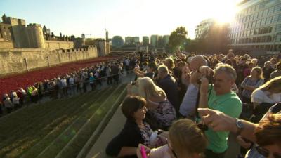 Crowds viewing the Tower of London poppies