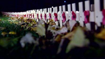 Remembrance poppies